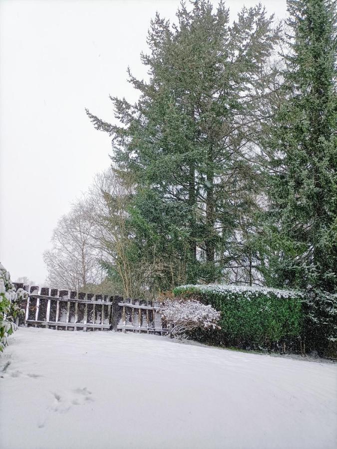 Bergfreude Chalet Braunlage Dış mekan fotoğraf